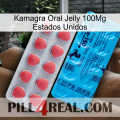 Kamagra Oral Jelly 100Mg Usa new14